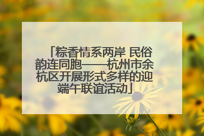 粽香情系两岸 民俗韵连同胞——杭州市余杭区开展形式多样的迎端午联谊活动
