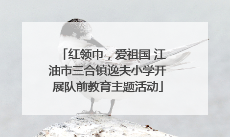 红领巾，爱祖国 江油市三合镇逸夫小学开展队前教育主题活动