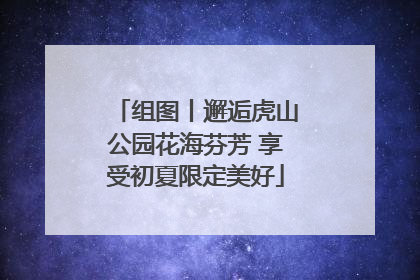 组图丨邂逅虎山公园花海芬芳 享受初夏限定美好
