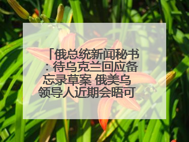 俄总统新闻秘书：待乌克兰回应备忘录草案 俄美乌领导人近期会晤可能性小