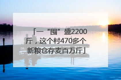 一“囤”盛2200斤，这个村470多个新粮仓存麦百万斤
