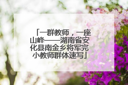 一群教师，一座山峰——湖南省安化县南金乡将军完小教师群体速写