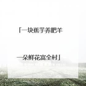 一块蕉芋养肥羊 一朵鲜花富全村