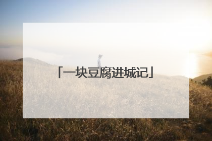 一块豆腐进城记