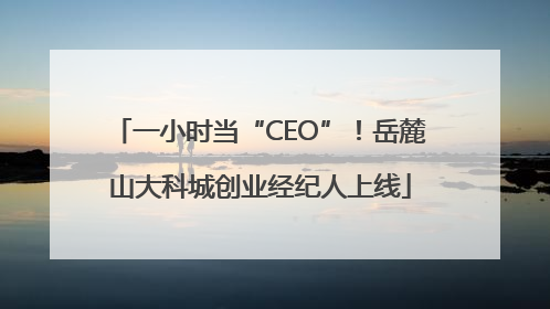 一小时当“CEO”！岳麓山大科城创业经纪人上线