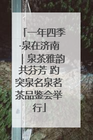 一年四季·泉在济南｜泉茶雅韵共芬芳 趵突泉名泉茗茶品鉴会举行