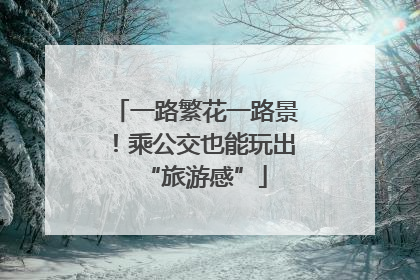一路繁花一路景！乘公交也能玩出“旅游感”