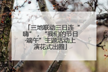 三地联动三日连“嗨”，“我们的节日·端午”主题活动上演花式出圈