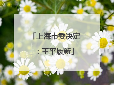 上海市委决定：王平履新