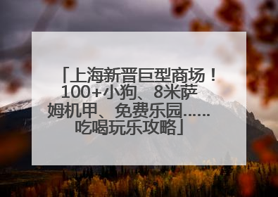 上海新晋巨型商场！100+小狗、8米萨姆机甲、免费乐园……吃喝玩乐攻略