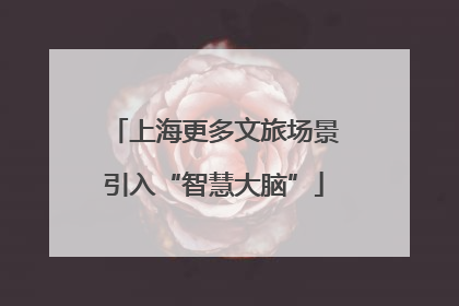 上海更多文旅场景引入“智慧大脑”