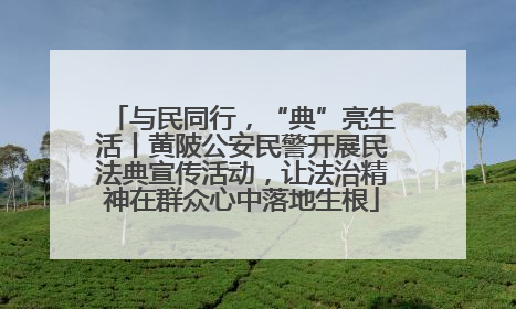 与民同行，“典”亮生活丨黄陂公安民警开展民法典宣传活动，让法治精神在群众心中落地生根