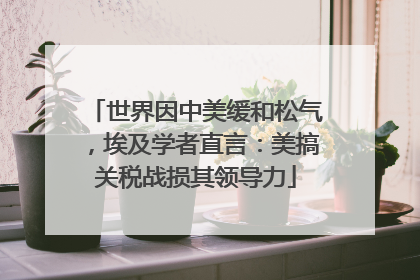 世界因中美缓和松气，埃及学者直言：美搞关税战损其领导力