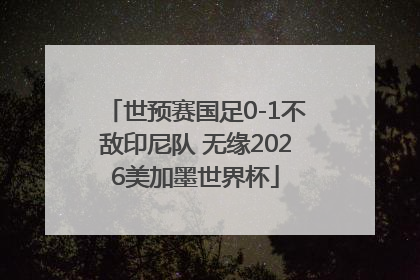 世预赛国足0-1不敌印尼队 无缘2026美加墨世界杯