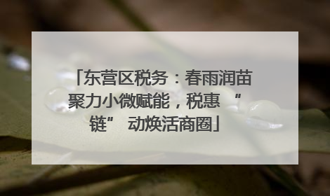 东营区税务：春雨润苗聚力小微赋能，税惠 “链” 动焕活商圈