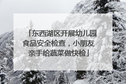 东西湖区开展幼儿园食品安全检查，小朋友亲手给蔬菜做快检
