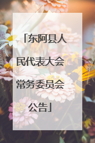 东阿县人民代表大会常务委员会公告
