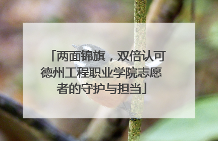 两面锦旗，双倍认可德州工程职业学院志愿者的守护与担当
