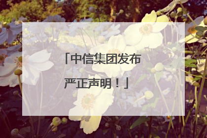 中信集团发布严正声明！