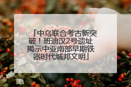 中乌联合考古新突破！班迪汉2号遗址揭示中亚南部早期铁器时代城邦文明