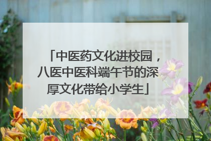 中医药文化进校园，八医中医科端午节的深厚文化带给小学生