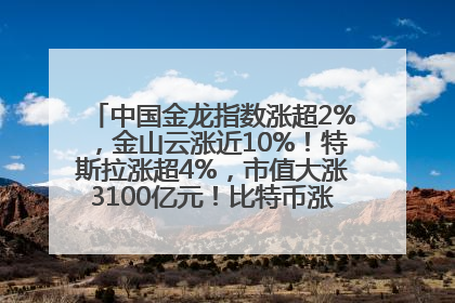 中国金龙指数涨超2%，金山云涨近10%！特斯拉涨超4%，市值大涨3100亿元！比特币涨回11万美元关口