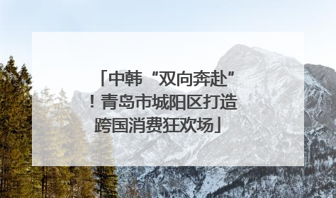 中韩“双向奔赴”！青岛市城阳区打造跨国消费狂欢场