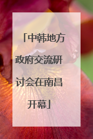 中韩地方政府交流研讨会在南昌开幕