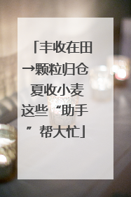 丰收在田→颗粒归仓 夏收小麦这些“助手”帮大忙