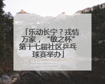 乐动长宁？戎情万家，“敏之杯”第十七届社区乒乓球赛举办