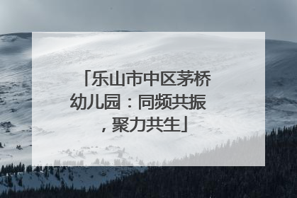 乐山市中区茅桥幼儿园：同频共振，聚力共生