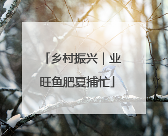乡村振兴｜业旺鱼肥夏捕忙