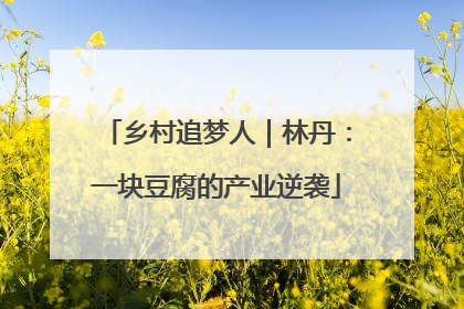 乡村追梦人｜林丹：一块豆腐的产业逆袭