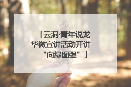 云洞·青年说龙华微宣讲活动开讲“向绿图强”