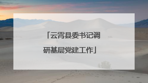 云霄县委书记调研基层党建工作