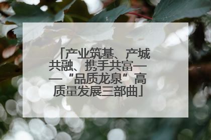 产业筑基、产城共融、携手共富——“品质龙泉”高质量发展三部曲