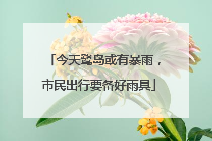 今天鹭岛或有暴雨，市民出行要备好雨具