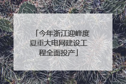 今年浙江迎峰度夏重大电网建设工程全面投产