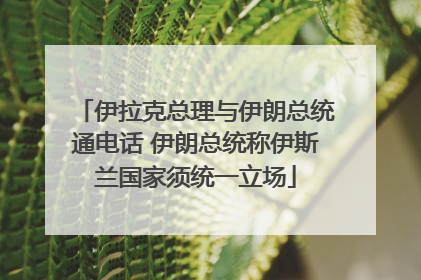 伊拉克总理与伊朗总统通电话 伊朗总统称伊斯兰国家须统一立场