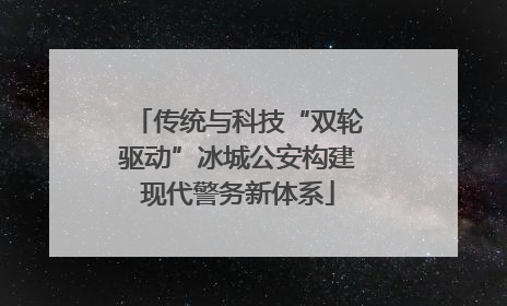 传统与科技“双轮驱动”冰城公安构建现代警务新体系