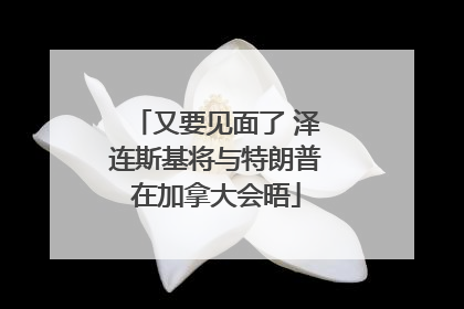 又要见面了 泽连斯基将与特朗普在加拿大会晤