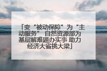 变“被动保障”为“主动服务” 自然资源部为基层解难题办实事 助力经济大省挑大梁