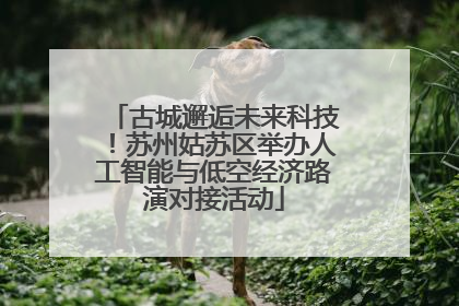 古城邂逅未来科技！苏州姑苏区举办人工智能与低空经济路演对接活动