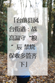 台前县凤台街道：战高温守“粮”辰 禁烧保收多管齐下