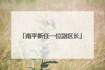 南平新任一位副区长