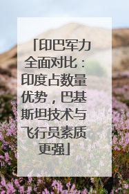 印巴军力全面对比：印度占数量优势，巴基斯坦技术与飞行员素质更强