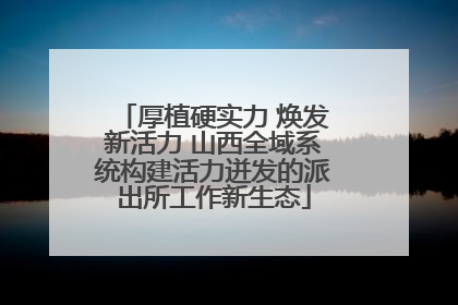 厚植硬实力 焕发新活力 山西全域系统构建活力迸发的派出所工作新生态