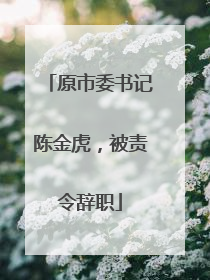 原市委书记陈金虎，被责令辞职