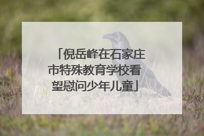 倪岳峰在石家庄市特殊教育学校看望慰问少年儿童