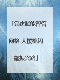 党建赋能智管网格 大樱桃闪耀振兴路